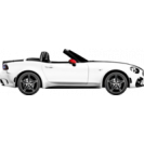 124 SPIDER