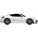 CAYMAN (981)
